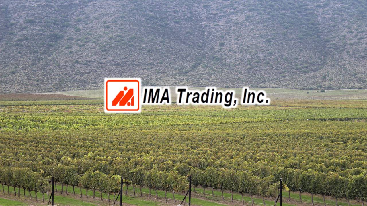 IMA
