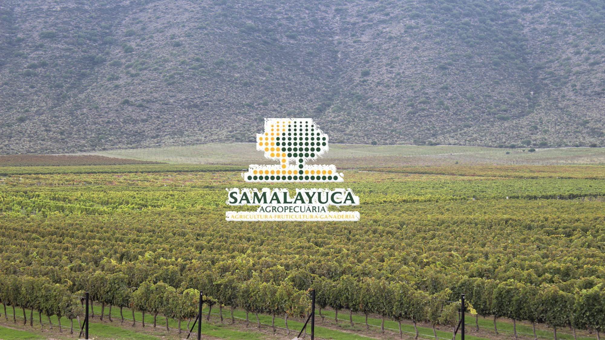 SAMALAYUCA