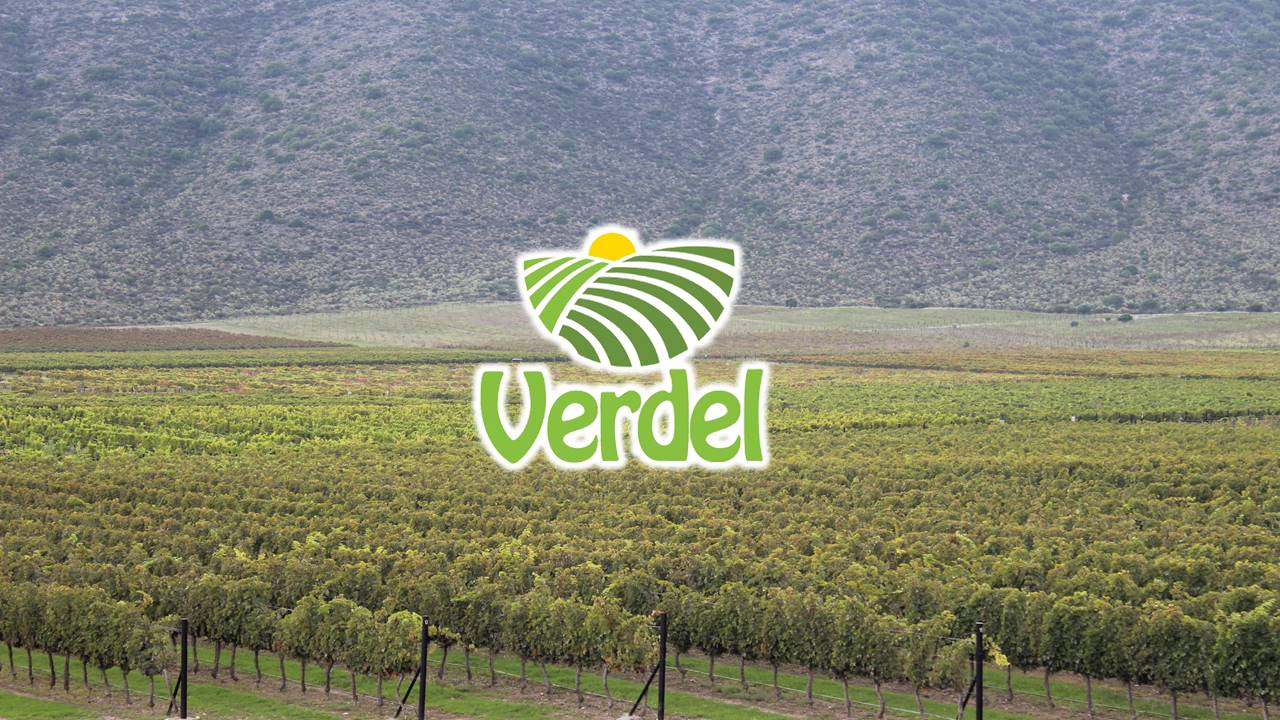 VERDEL