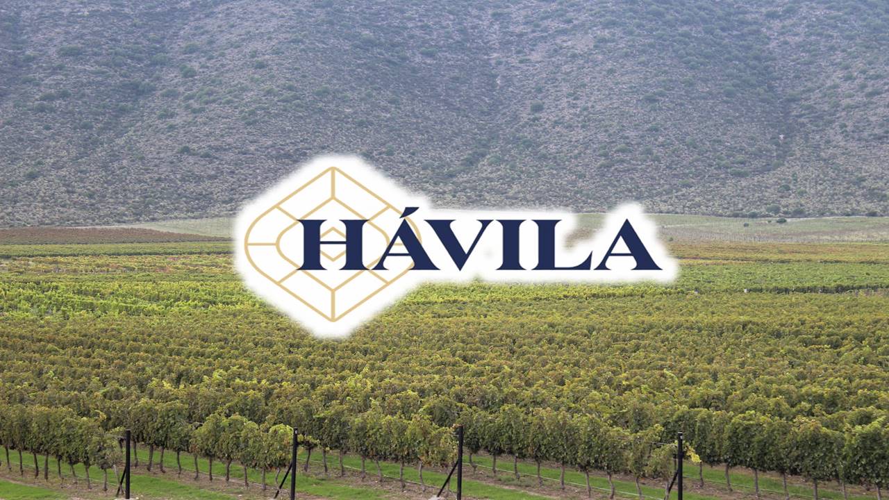 havila